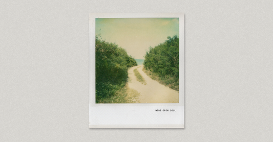 Wide Open Soul