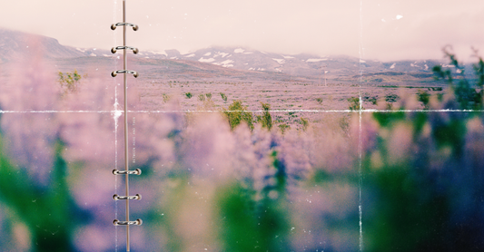 Between Here and Then
